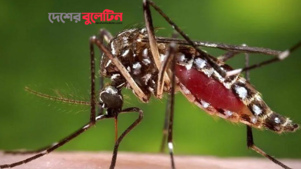 ডেঙ্গুতে ১০০ জনের মৃত্যু